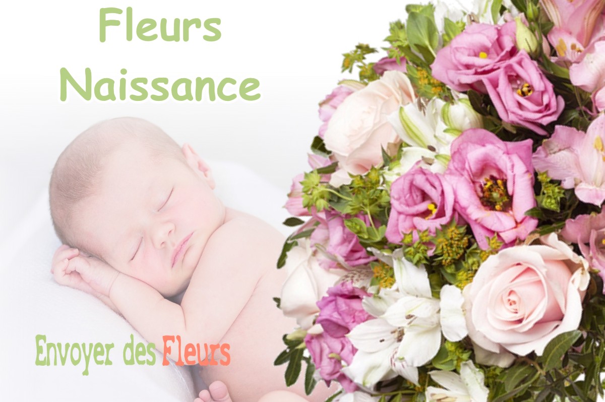 lIVRAISON FLEURS NAISSANCE à LAUNAGUET